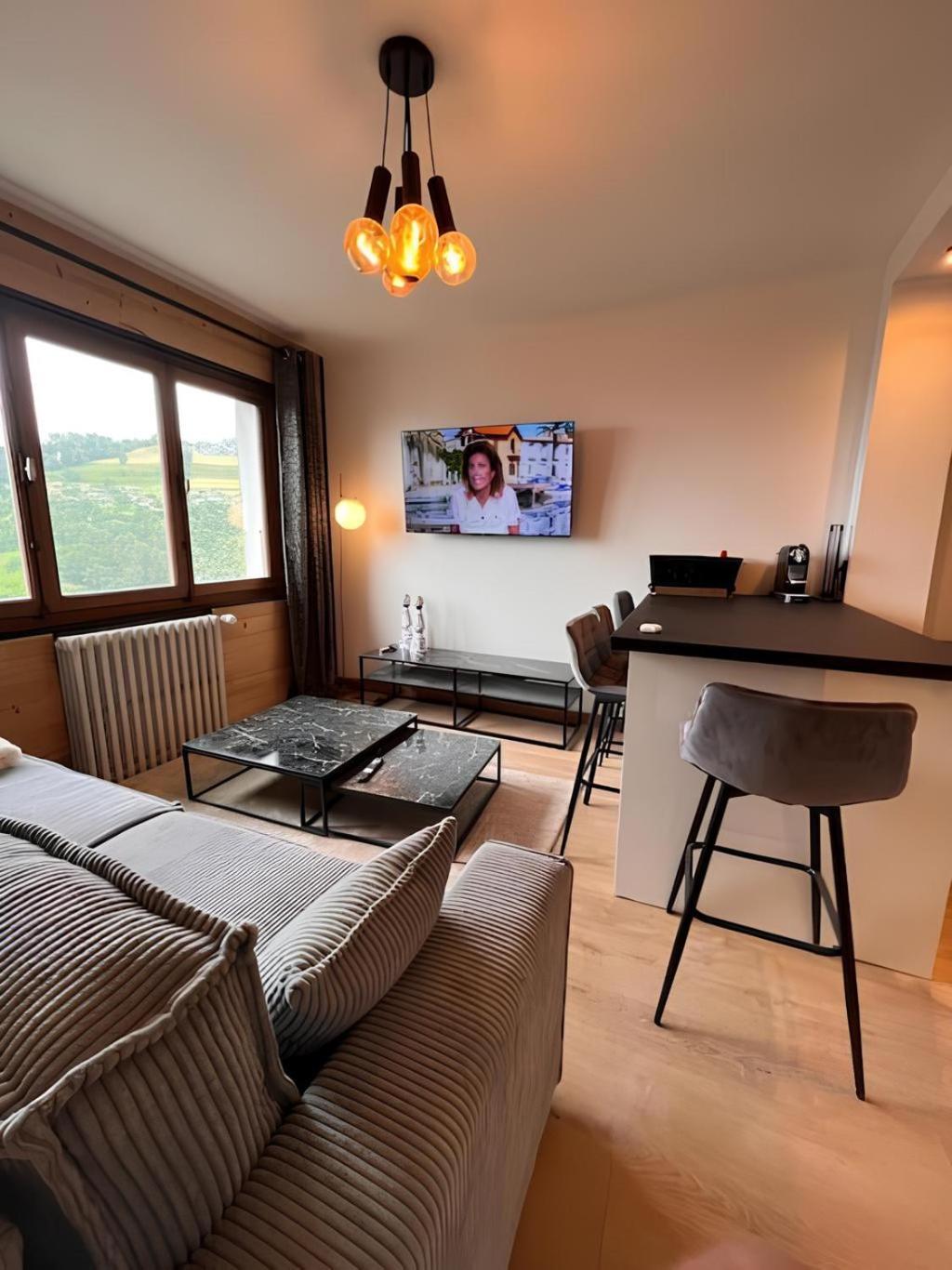 Vue Mont Blanc, Ski Et Village Combloux Extérieur photo